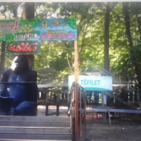 L'escapade 公寓 Rimling