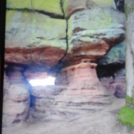 公寓 L'escapade Rimling