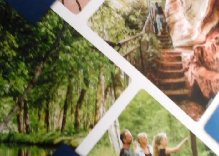 L'escapade Apartment Rimling